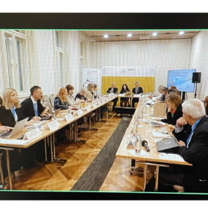 Stjepan Budimpešta ELFAC KINCS Sudjelovali smo virtualno na važnom događaju o obiteljskim politikama održanom u Budimpešti